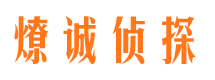 桥东情人调查